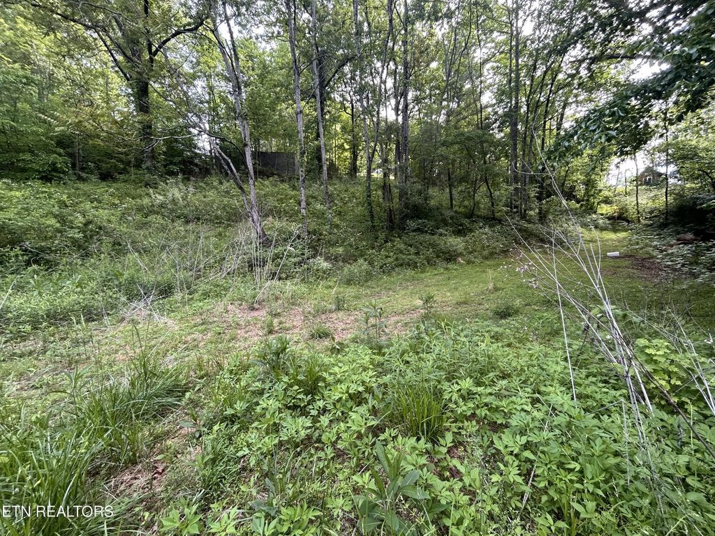 Lot 32 Ernie Roberts Rd, Rutledge