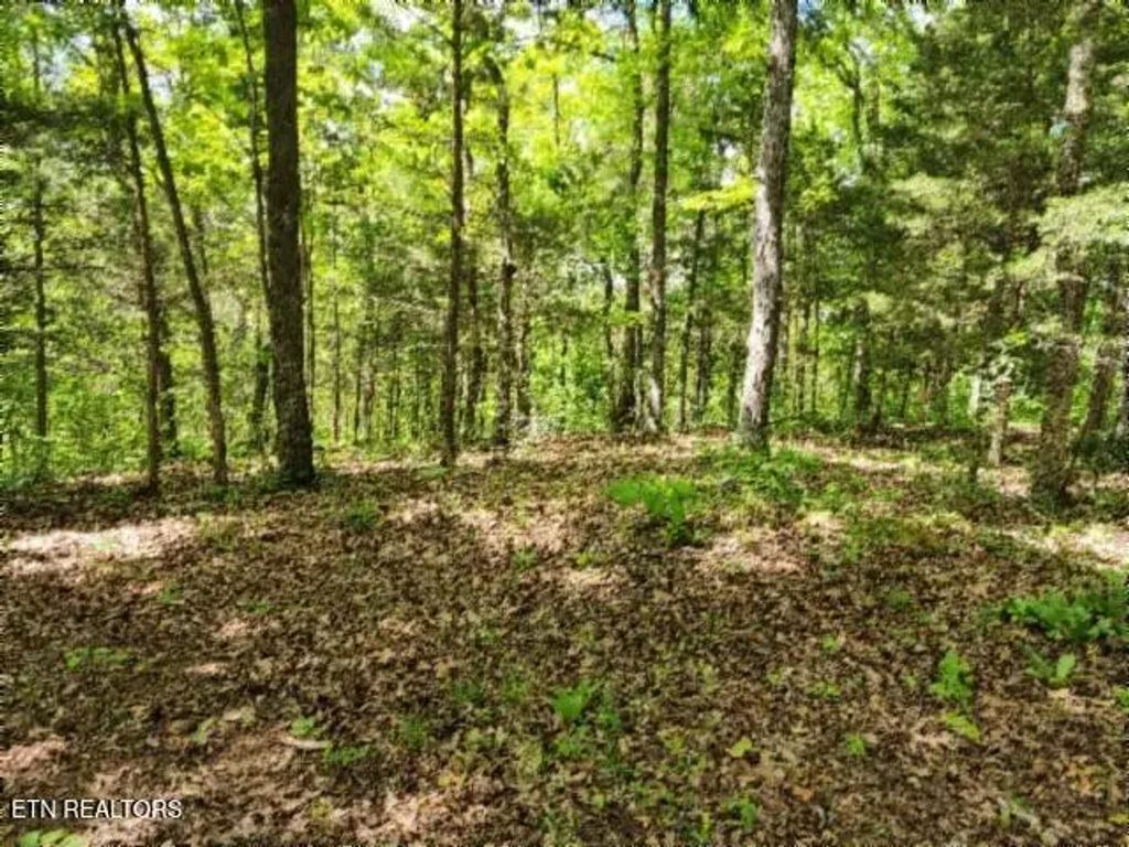 10.13ac Forest Trails Lane, Celina