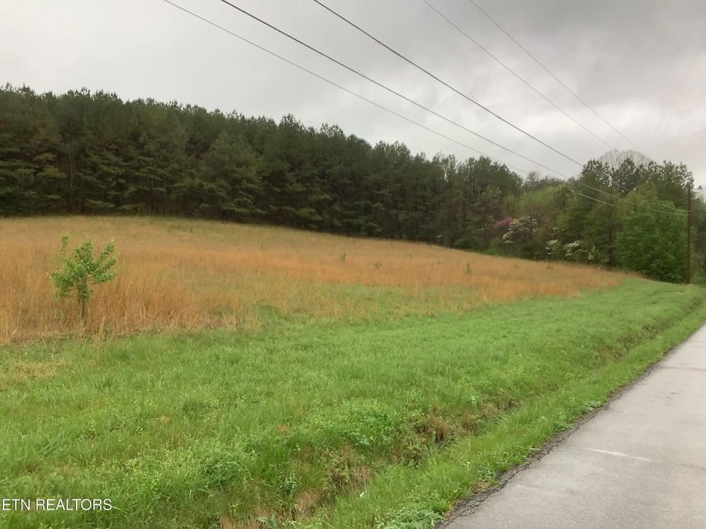 209 Woods Hollow Rd, Decatur