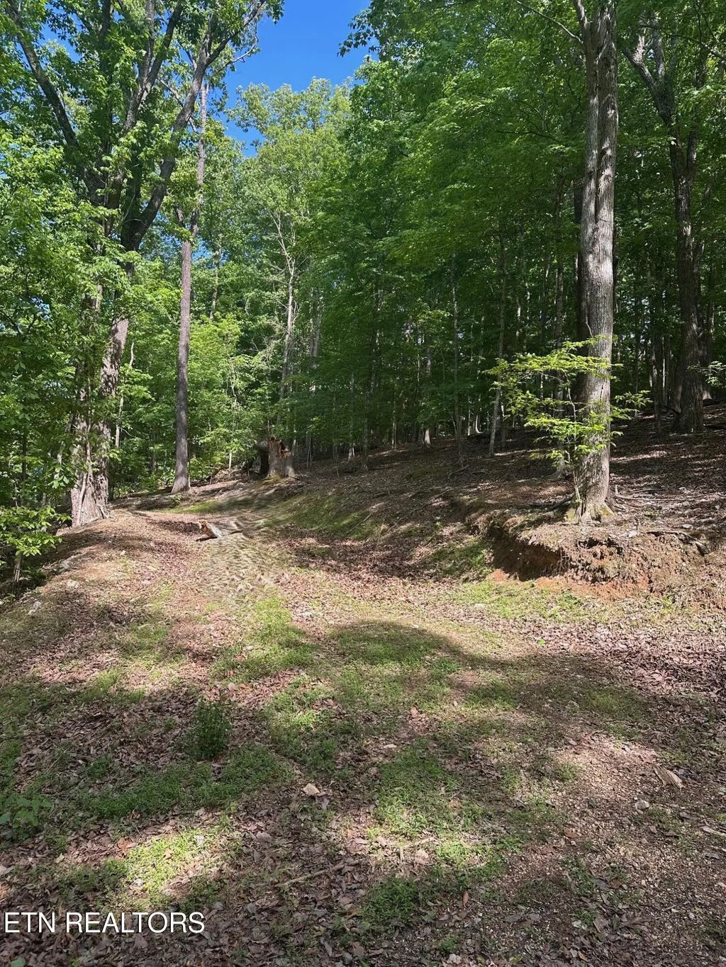 490 Fox Ridge Lane, Caryville