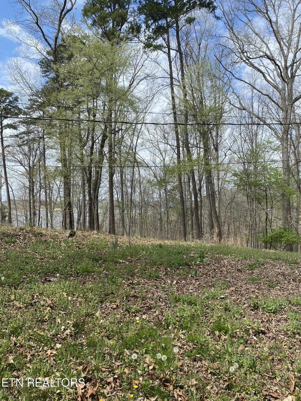 Lot 429 Mayflower Lane, Dandridge