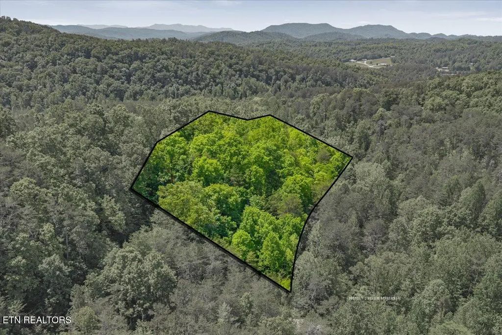 215 Citico Rd. Lot 1 Rd, Vonore