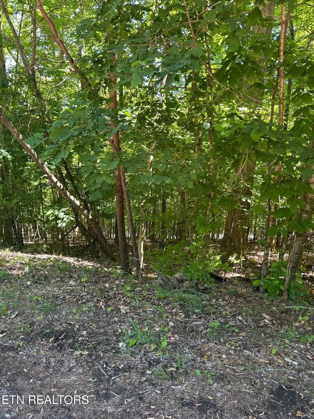 Lot 63 Stoney Rock Lane, Jacksboro
