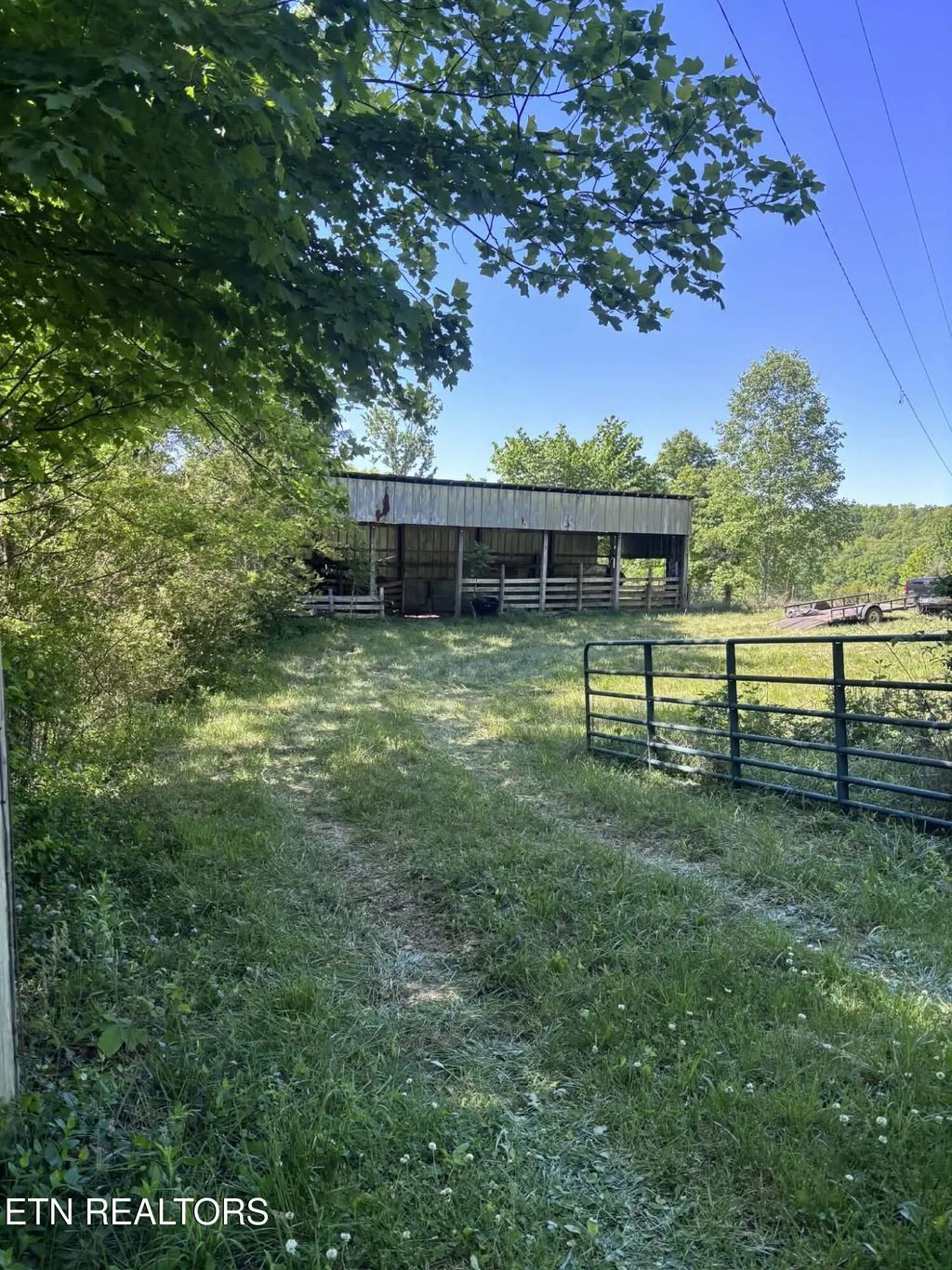 407 Earl Maples Lane, Tazewell