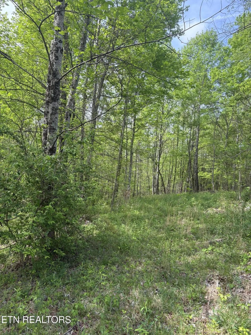 157 Casteel Rd, Sparta