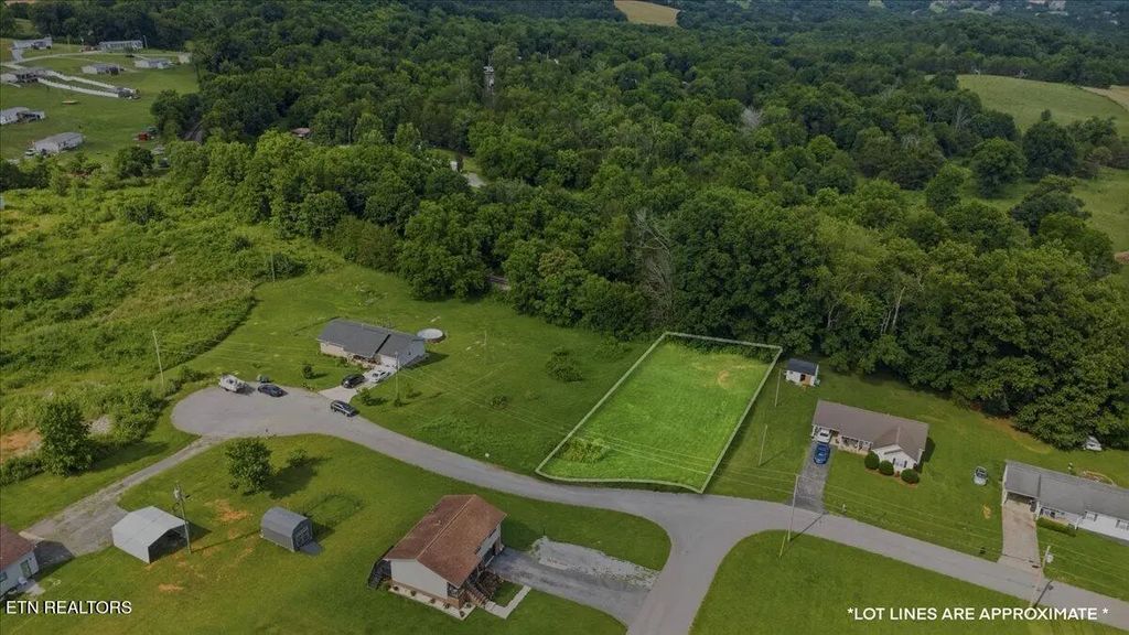 Lot 10 Leabow Circle, New Tazewell