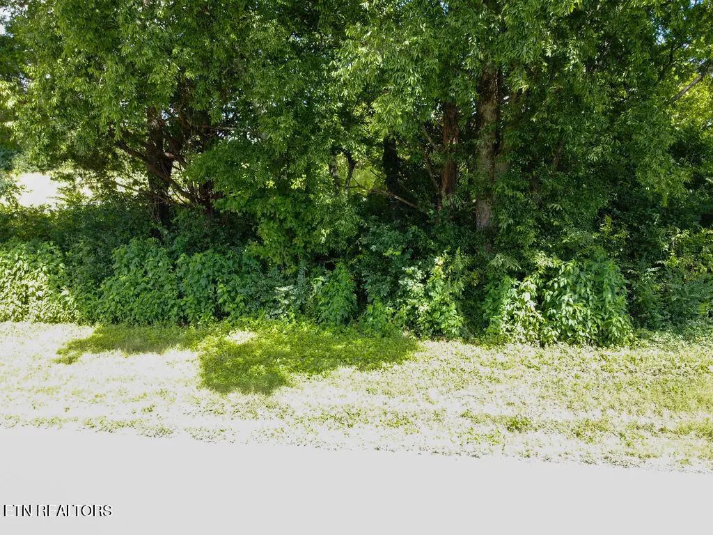 156 County Road 436, Athens