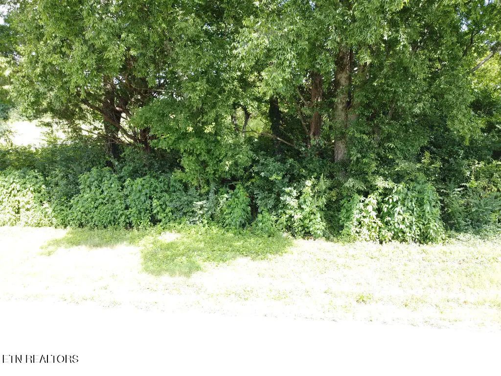 County Road 436, Athens