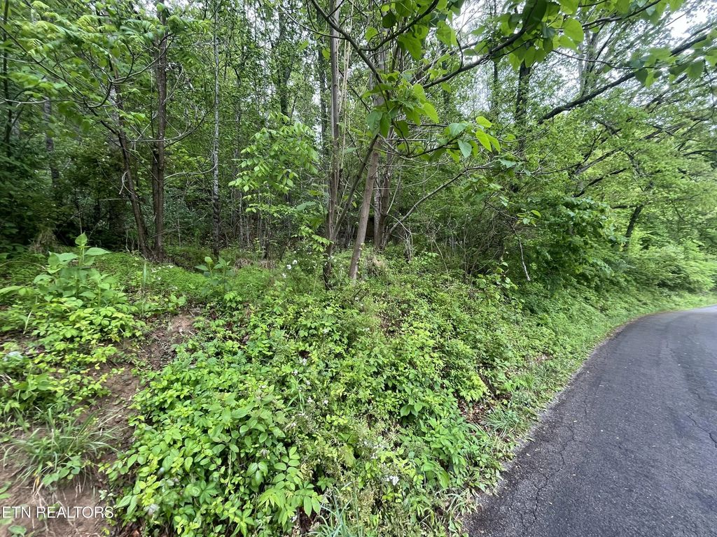 Tbd Valley Creek Rd, Dryden