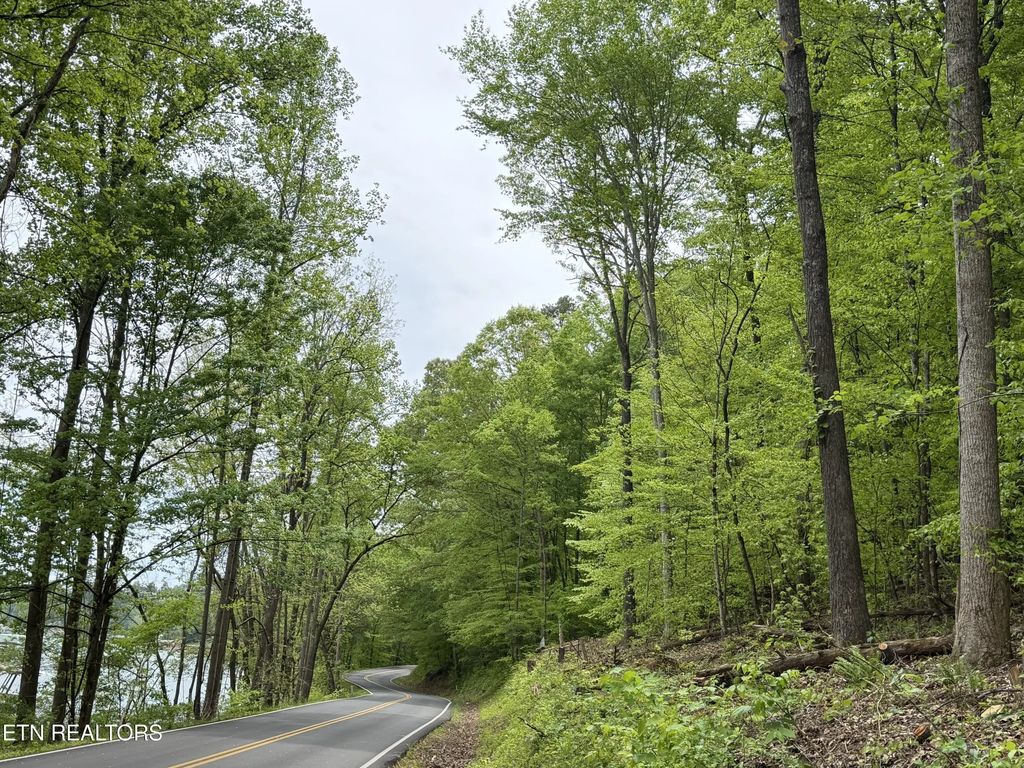 Lots A&b Alder Springs Rd, LaFollette