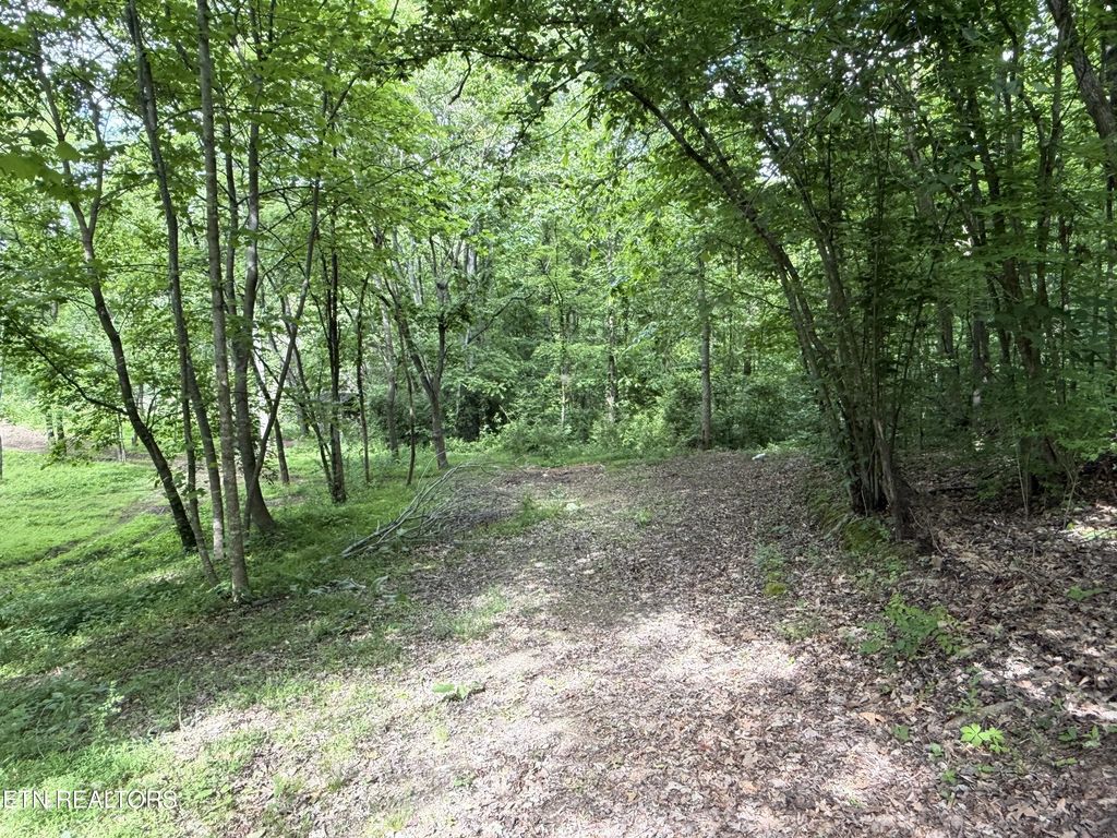 316 Wiley Town Rd, Newport