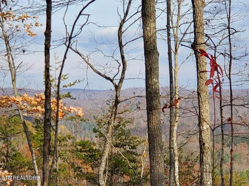 Bull Creek Rd S/0, Huntsville