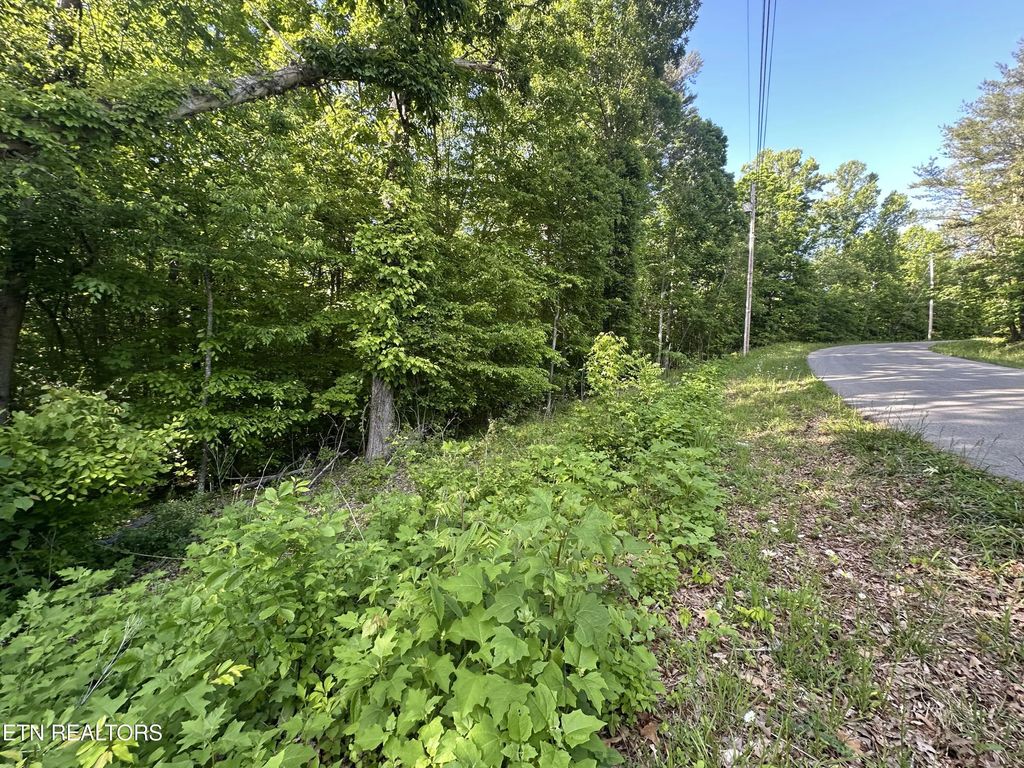 Pine Hollow Rd, Jacksboro