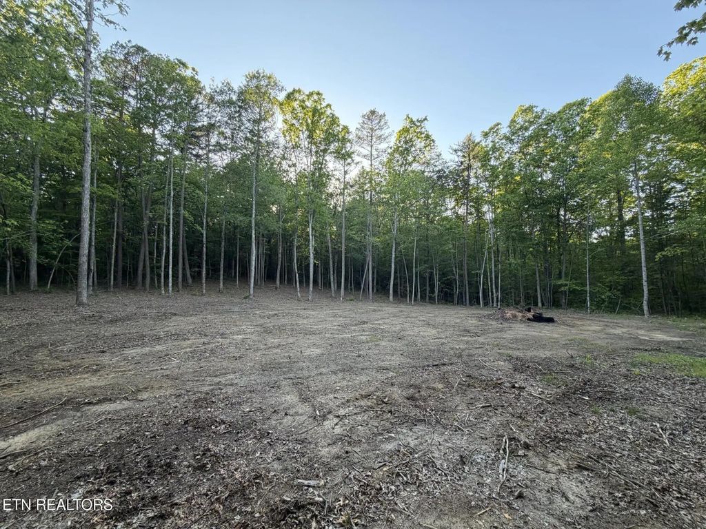 Long Branch Court, Allardt