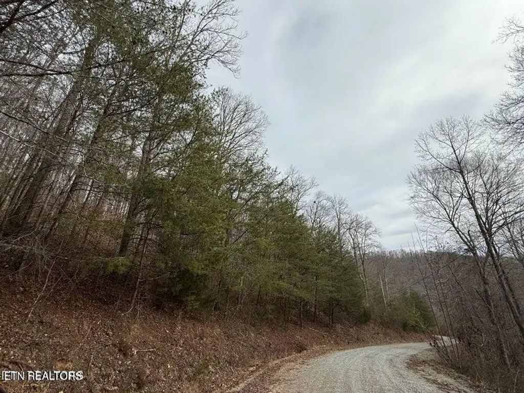 Jones Ridge Rd Rd, Speedwell