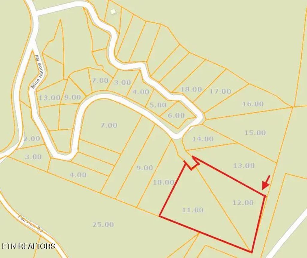 251 Mine Hollow Rd, Reliance