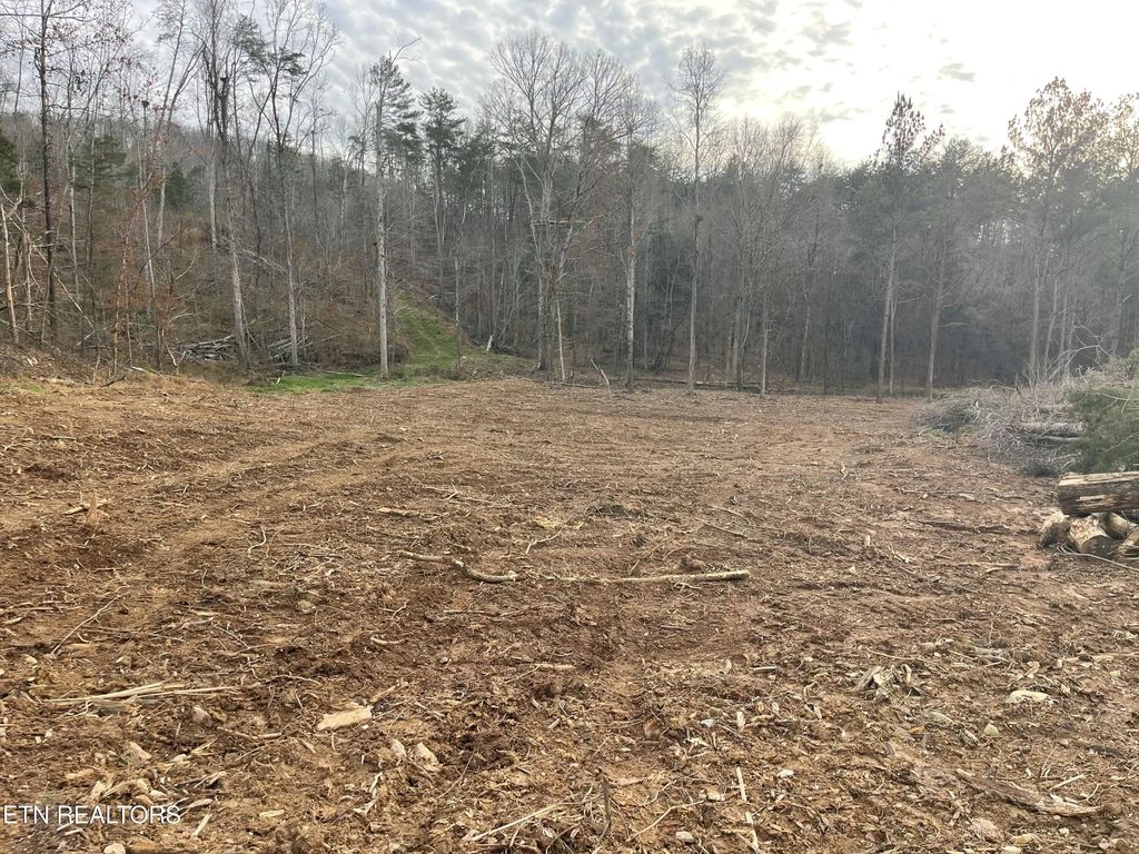 1.70 Acres Robbies Lane, Decatur