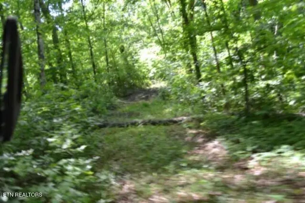 7.50ac Beauchamp Rd, Burkesville