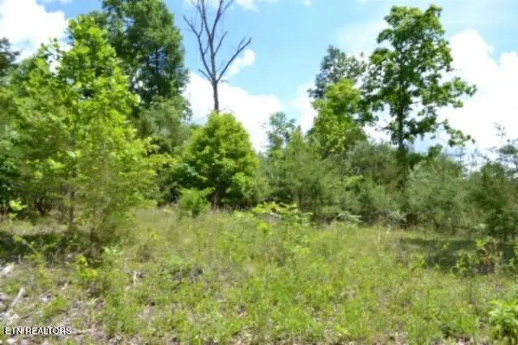 31.22 Beauchamp Rd, Burkesville