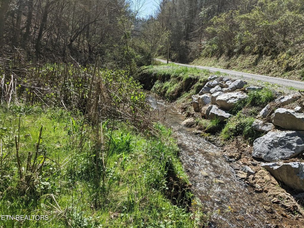 760 Black Branch Rd, Del Rio