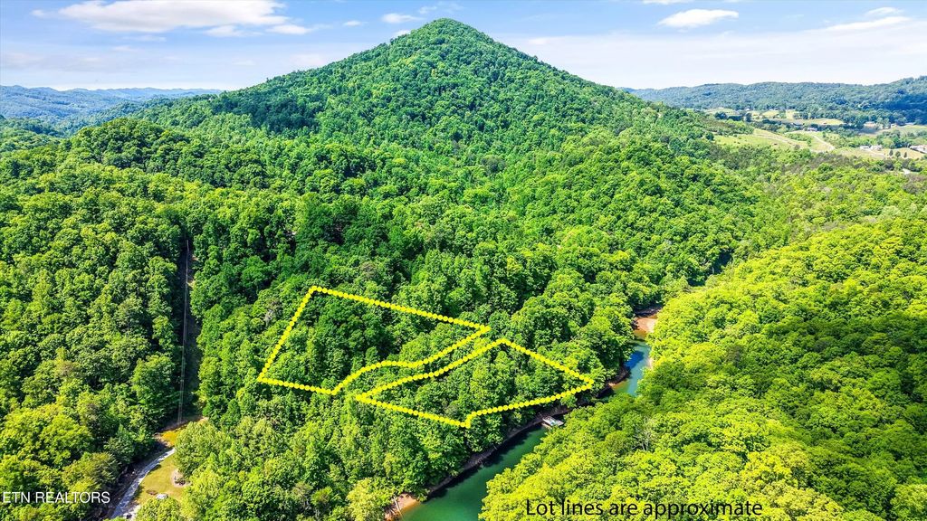 L-12 Mountain Shores Rd, New Tazewell