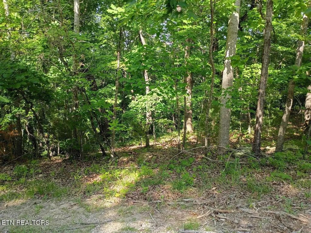 139 Havenridge Circle, Crossville