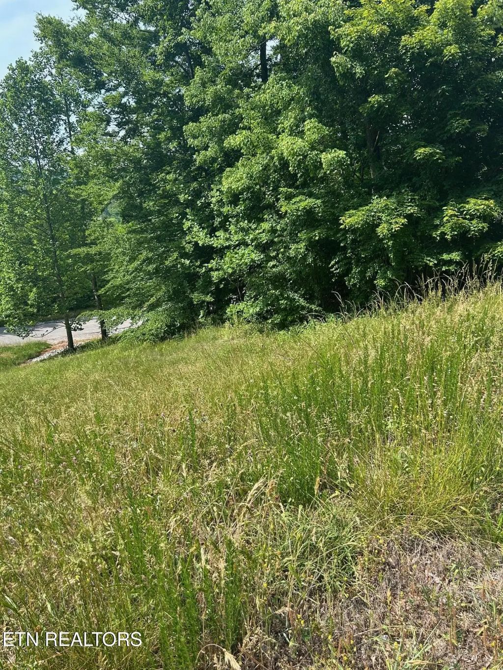 Lot 214 Suncrest Cove, LaFollette
