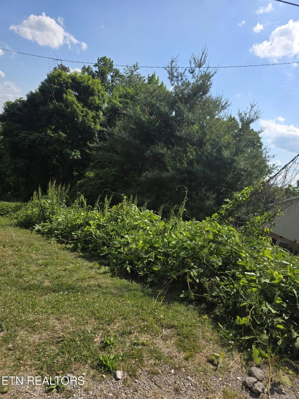 Gregory Lane, Maynardville
