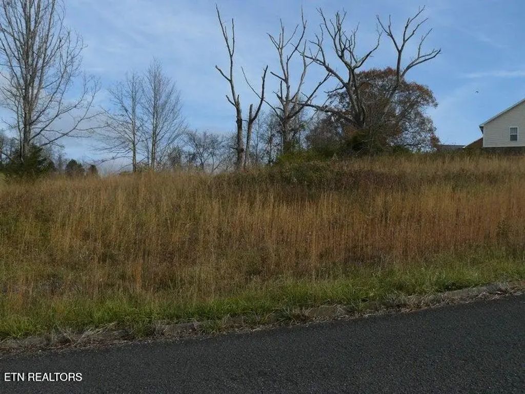 141 Henley St, Tazewell