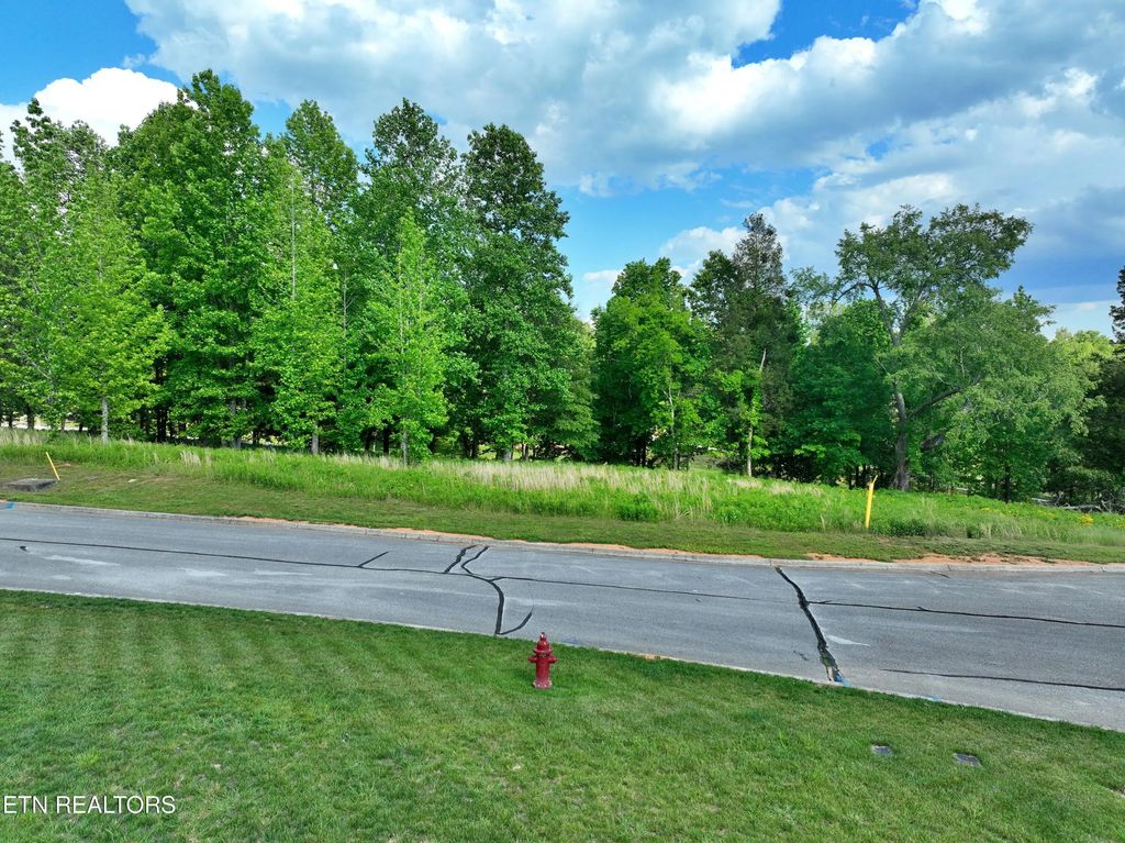 Lot 56 Blue Heron Bluff Rd, Harriman