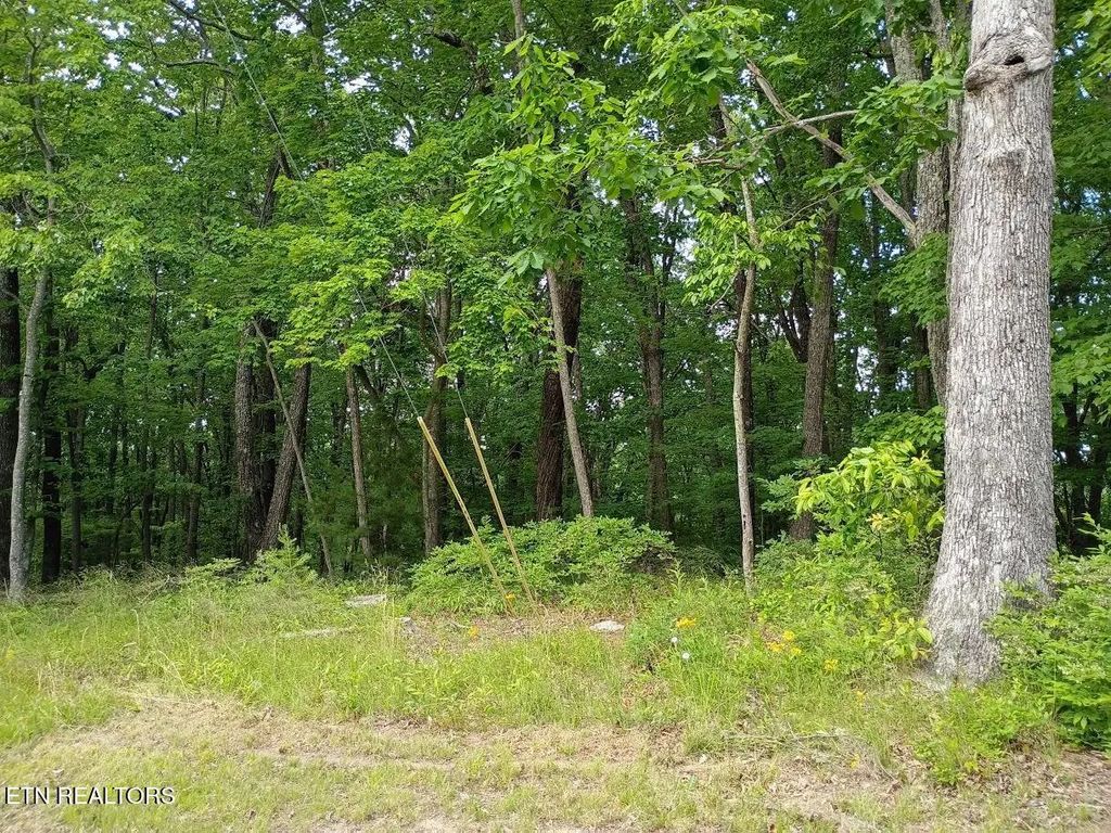 108 Pineridge Loop, Crossville