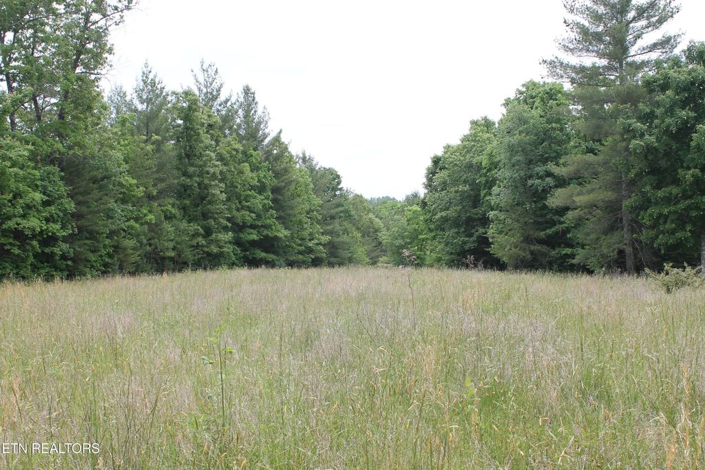 232 Wright Cemetery Rd, Allardt