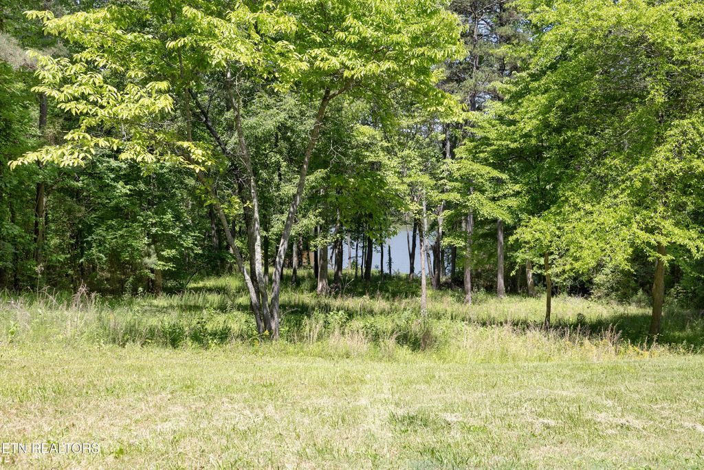 772 Wood Duck Drive, Vonore