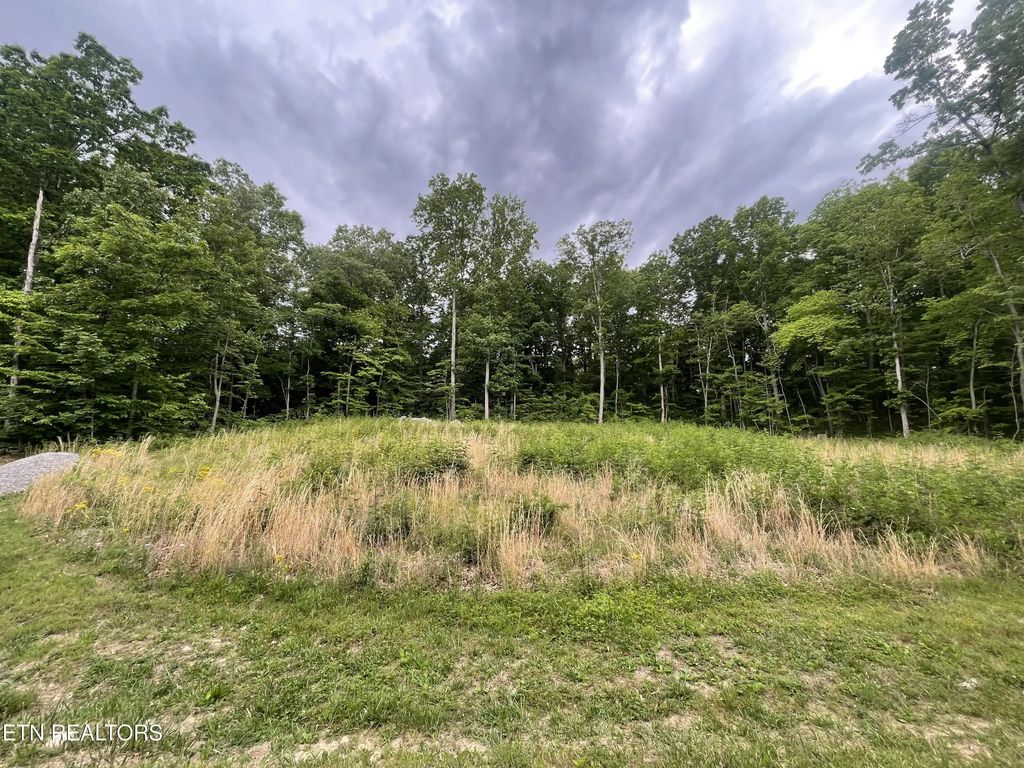 Willow Ridge Drive, Crossville