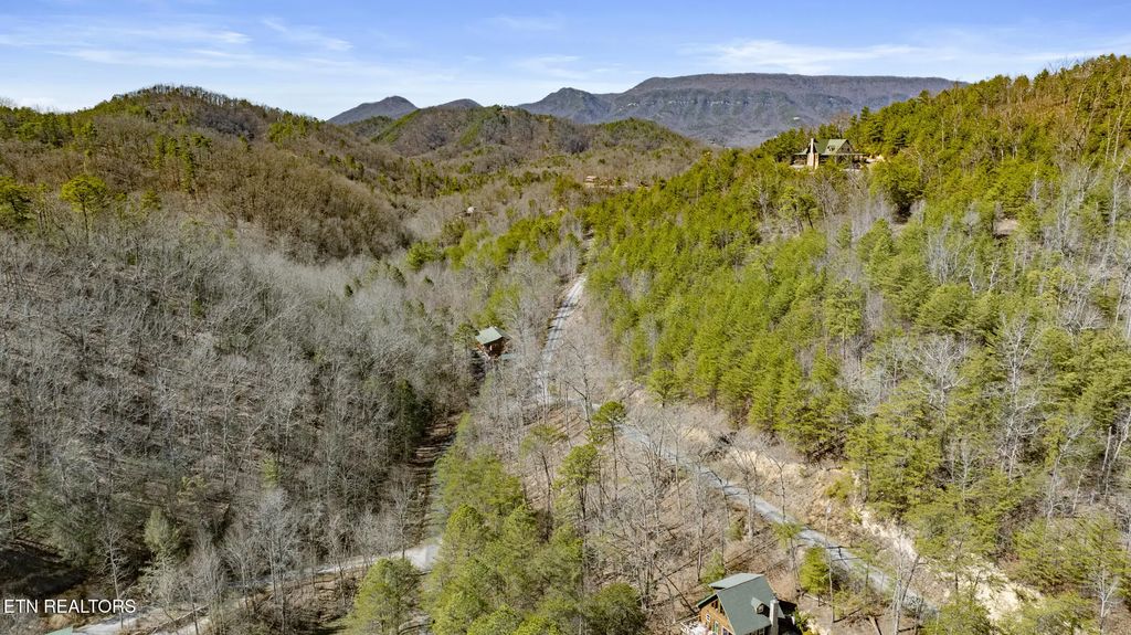 272 Cove Hollow Rd, Cosby