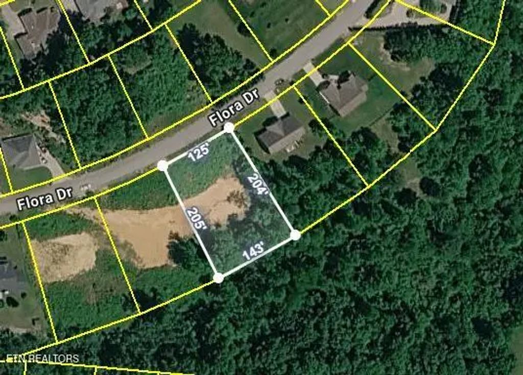 390 Flora Drive, Lenoir City