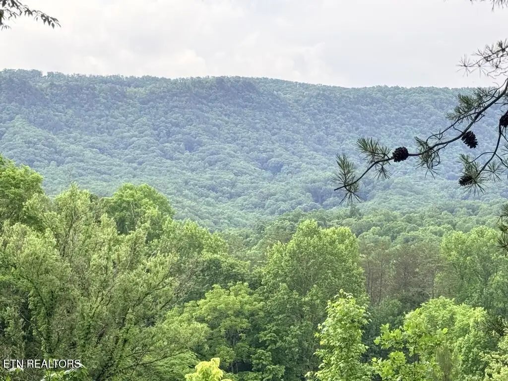 Old Chilhowee Tract 1 Rd, Seymour