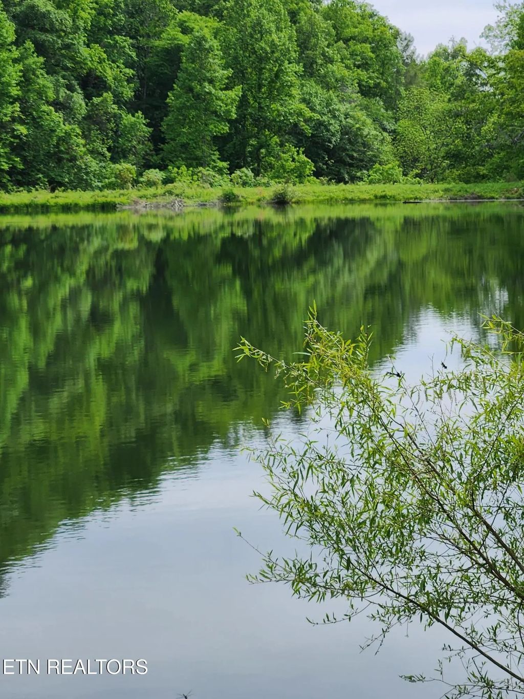 380 Seng Garden Rd, Tellico Plains