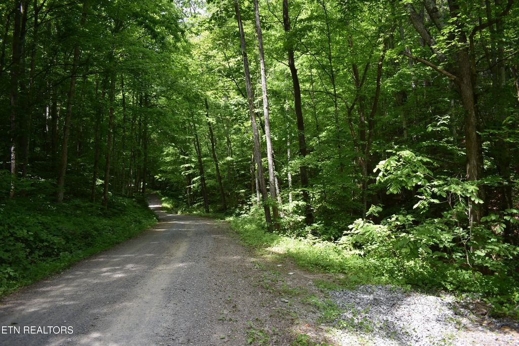 Shady Valley Rd, Ewing