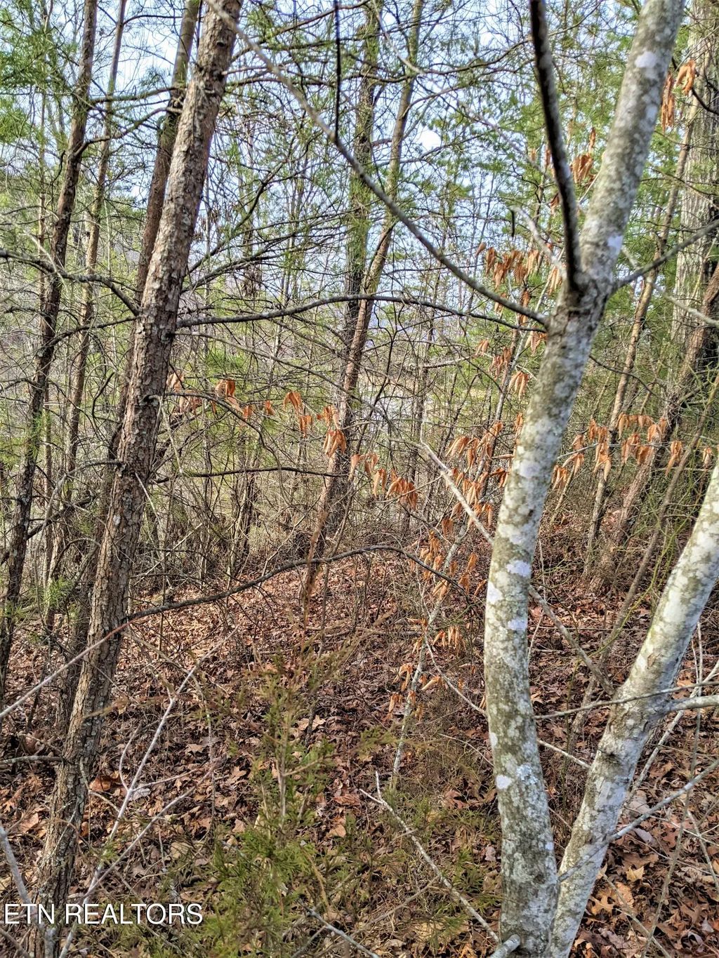 6220-6224 Outlook Tr, Russellville