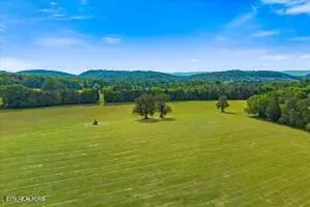 21+/- Acre County Road 675, Riceville