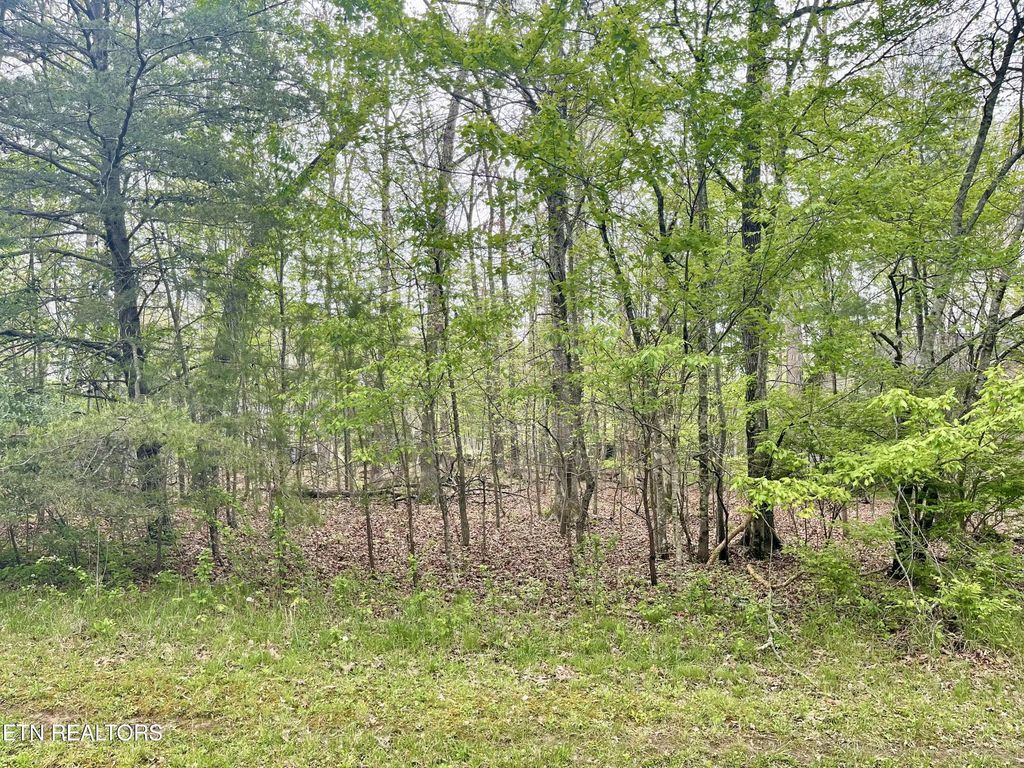 111 Rutgers Circle, Crossville
