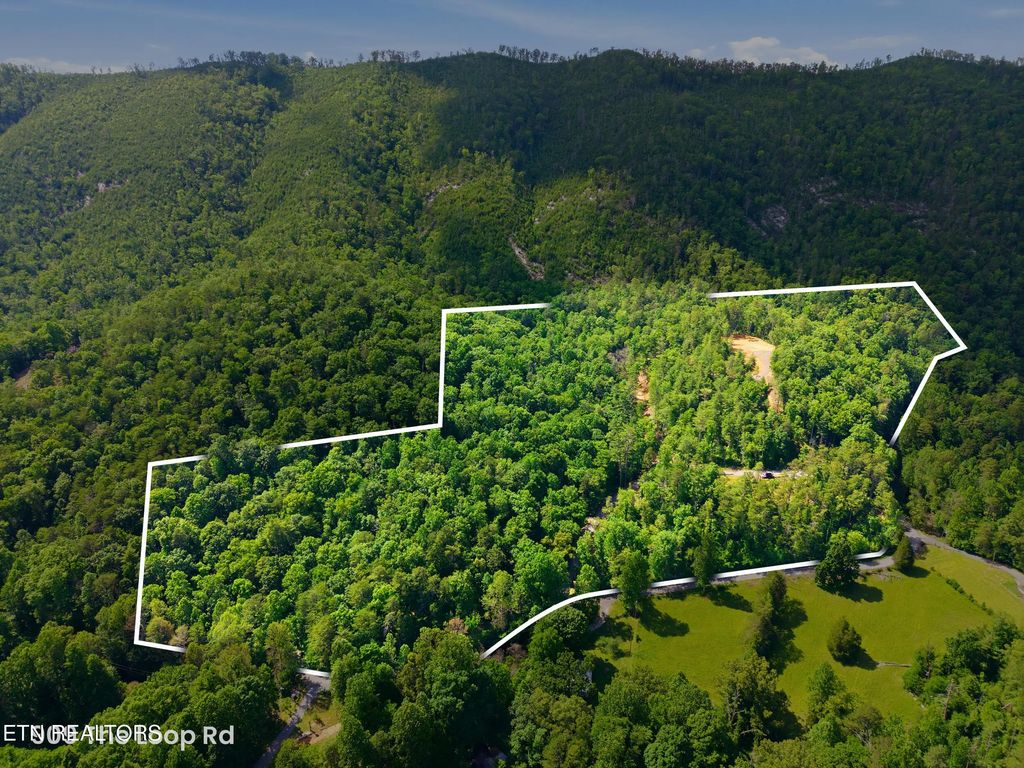 909 The Loop Rd, Walland