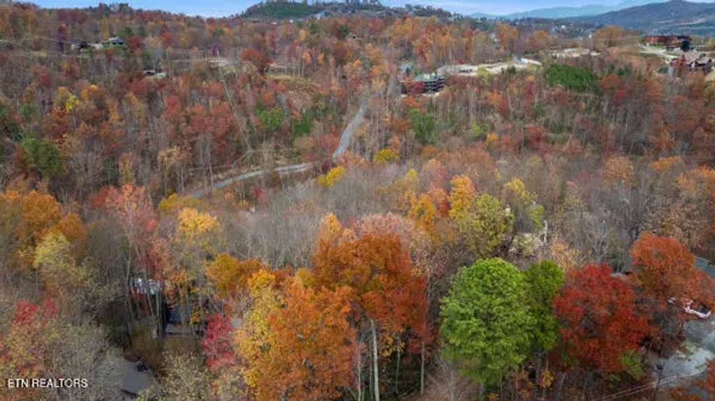 887 Holly Branch Rd, Gatlinburg