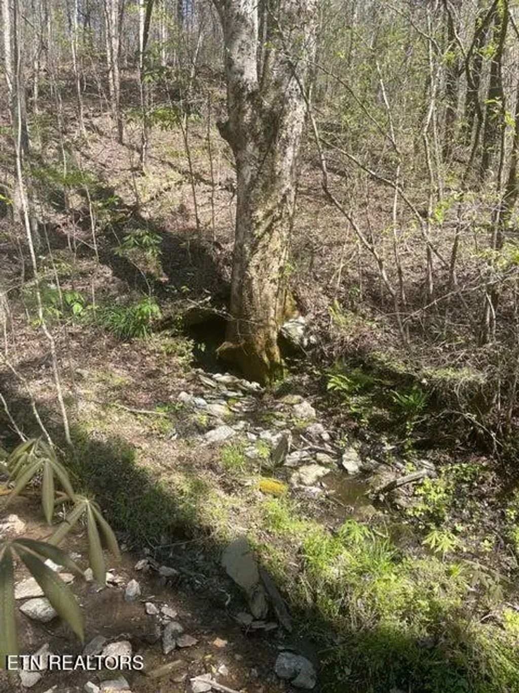 Lot 1 Old Furnace Rd, Tellico Plains
