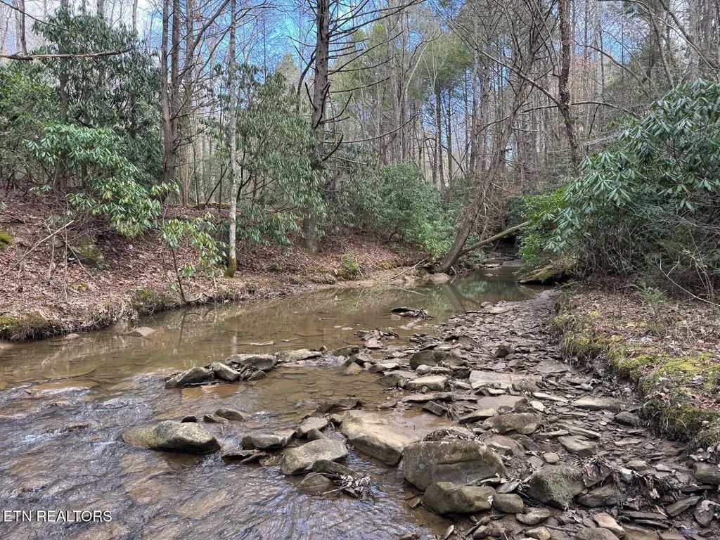 Highway 3484, Pineville