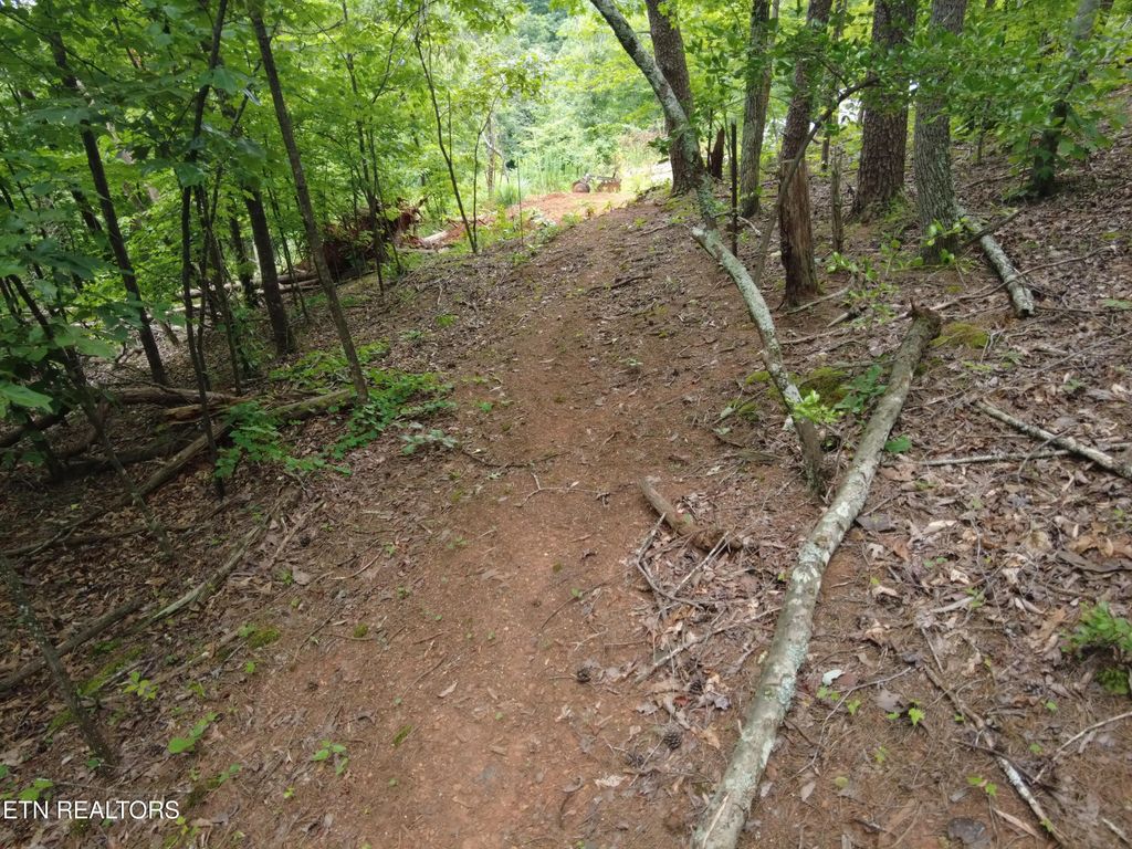 1124 Galyon Rd, Maryville