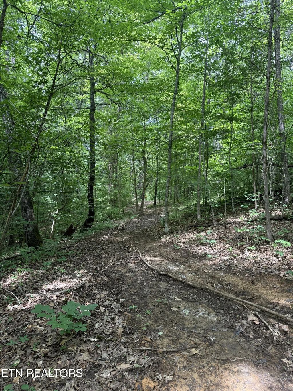 Thorngrove Pike, Knoxville