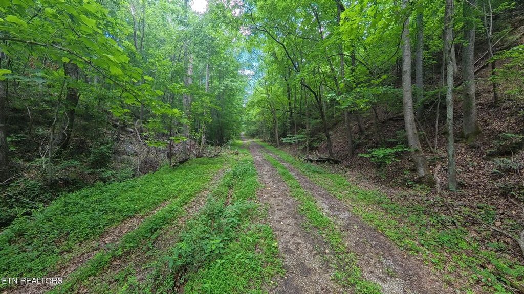 195 Sherwood Lane, Harriman