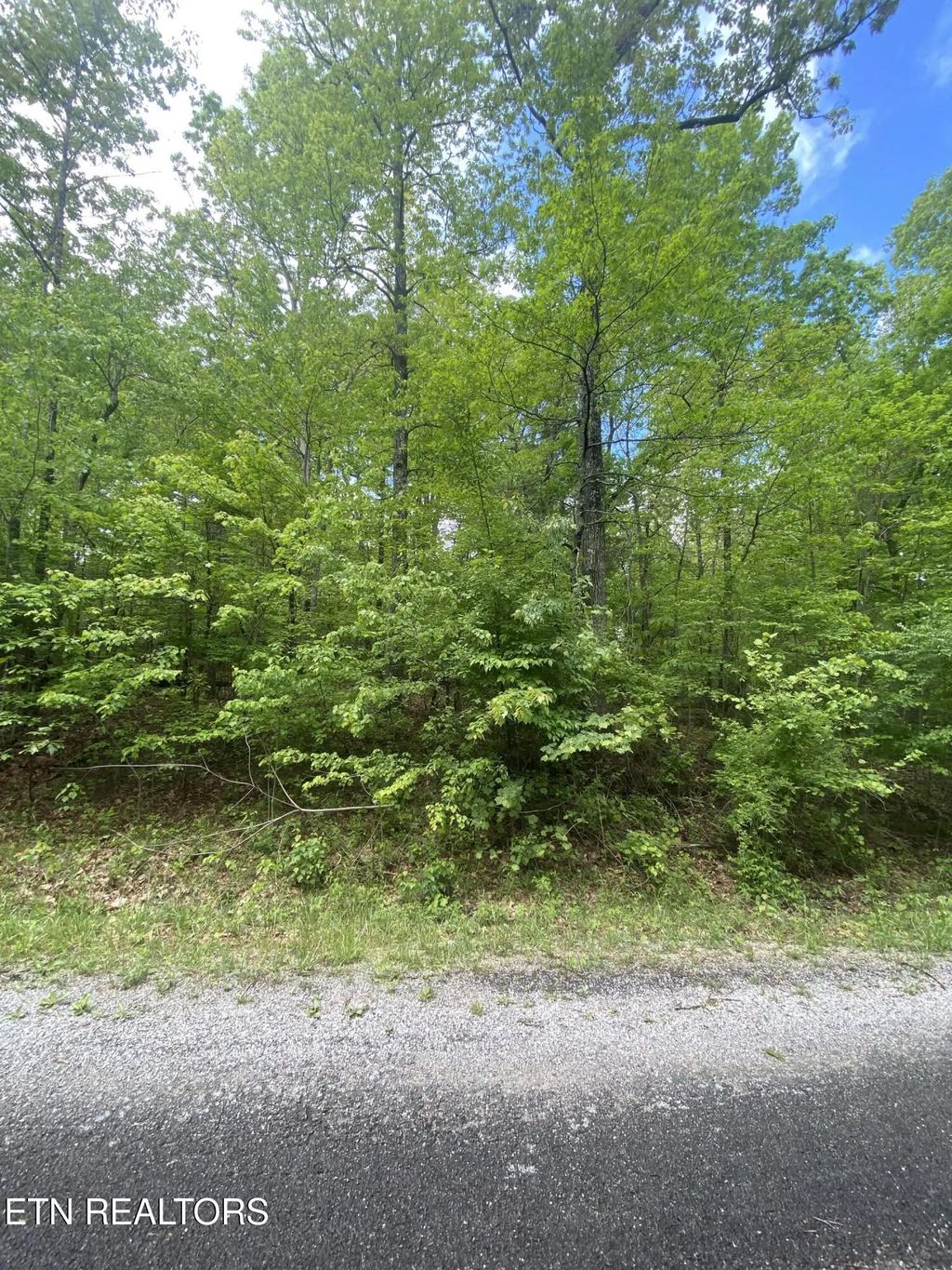 610 Catawba Lane, Crossville